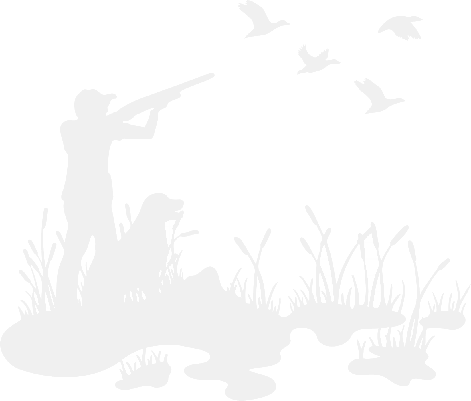 Duck Waterfowl Hunting Lodge Construction