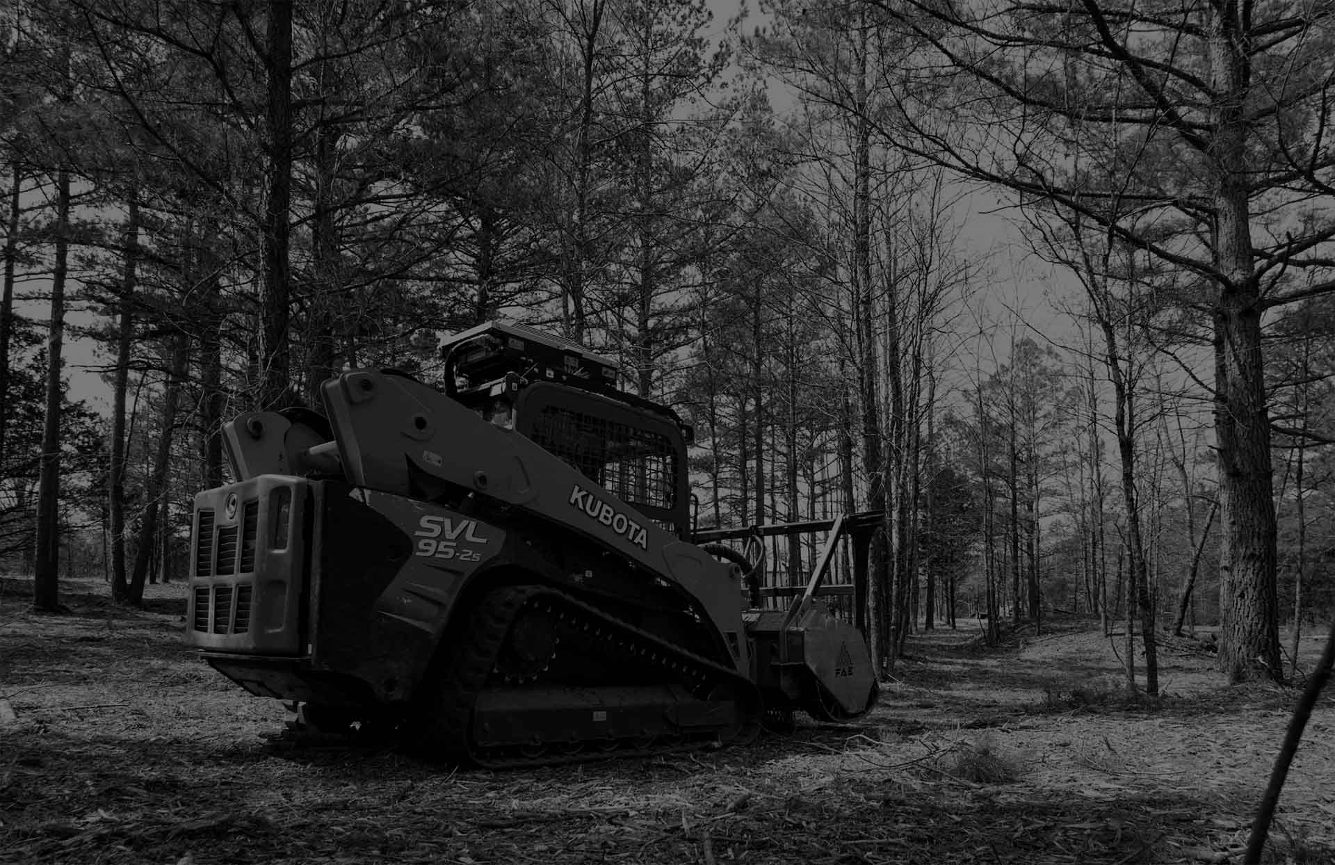 Duck Hunting Lodge Site Prep